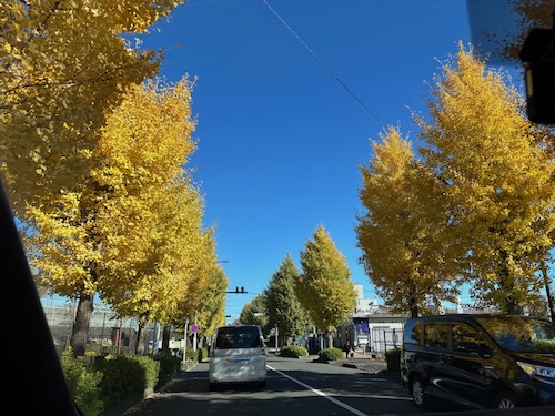 ブレーカー 業者 EV用  マンション PHEV 壊れた 明るくない きれい 換気扇 故障 わからない 早い 電源 swich ライト ドアホン 潜行 先行配管 やめる 壁の中
